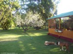 Jardin interior