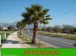 arrendado