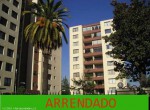 arrendado