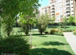 jardines