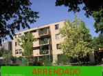 arrendado1