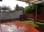 Terraza y jardin