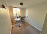 17_watermarked