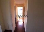 8_watermarked